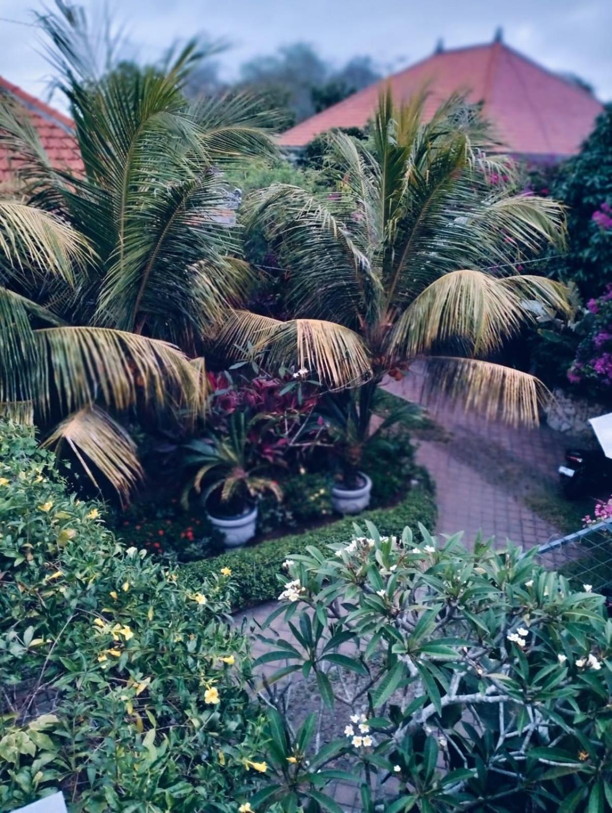 Mandox Villa Bali Ungasan  Exterior photo